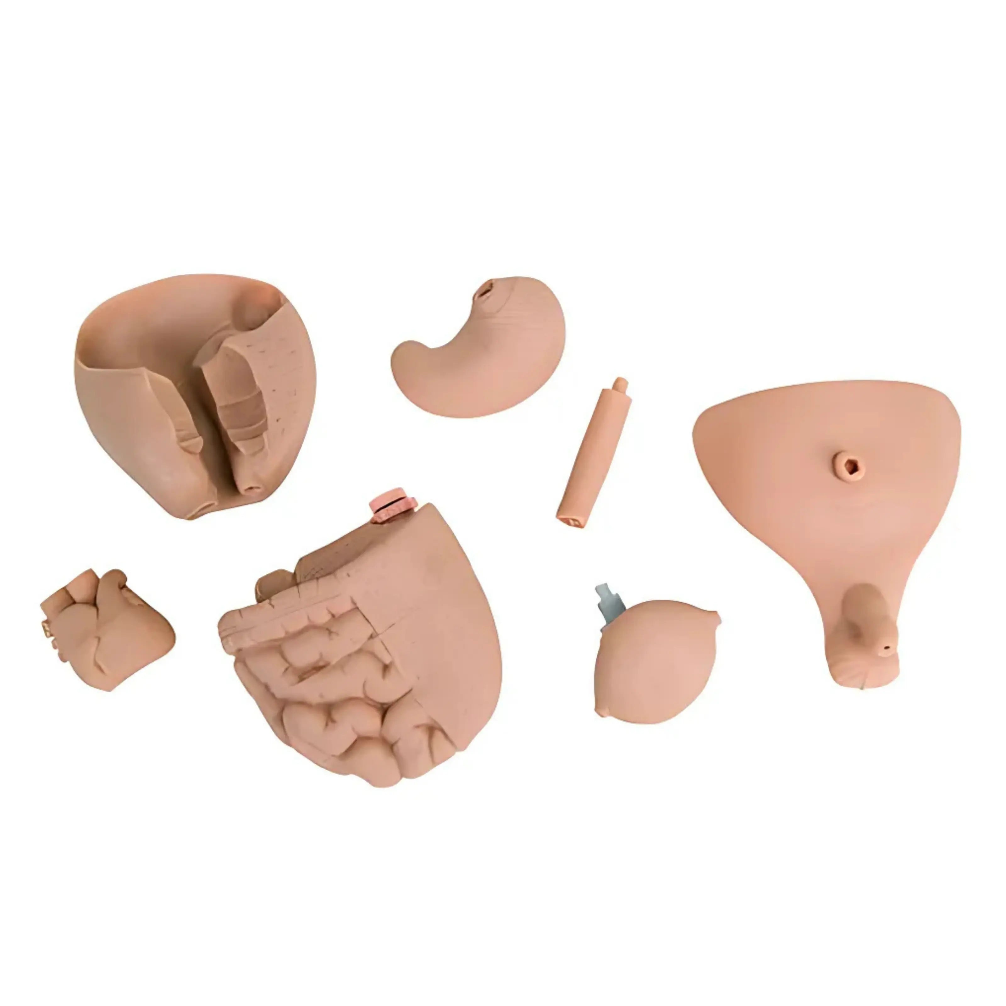 Maniquí para el cuidado del paciente recién nacido