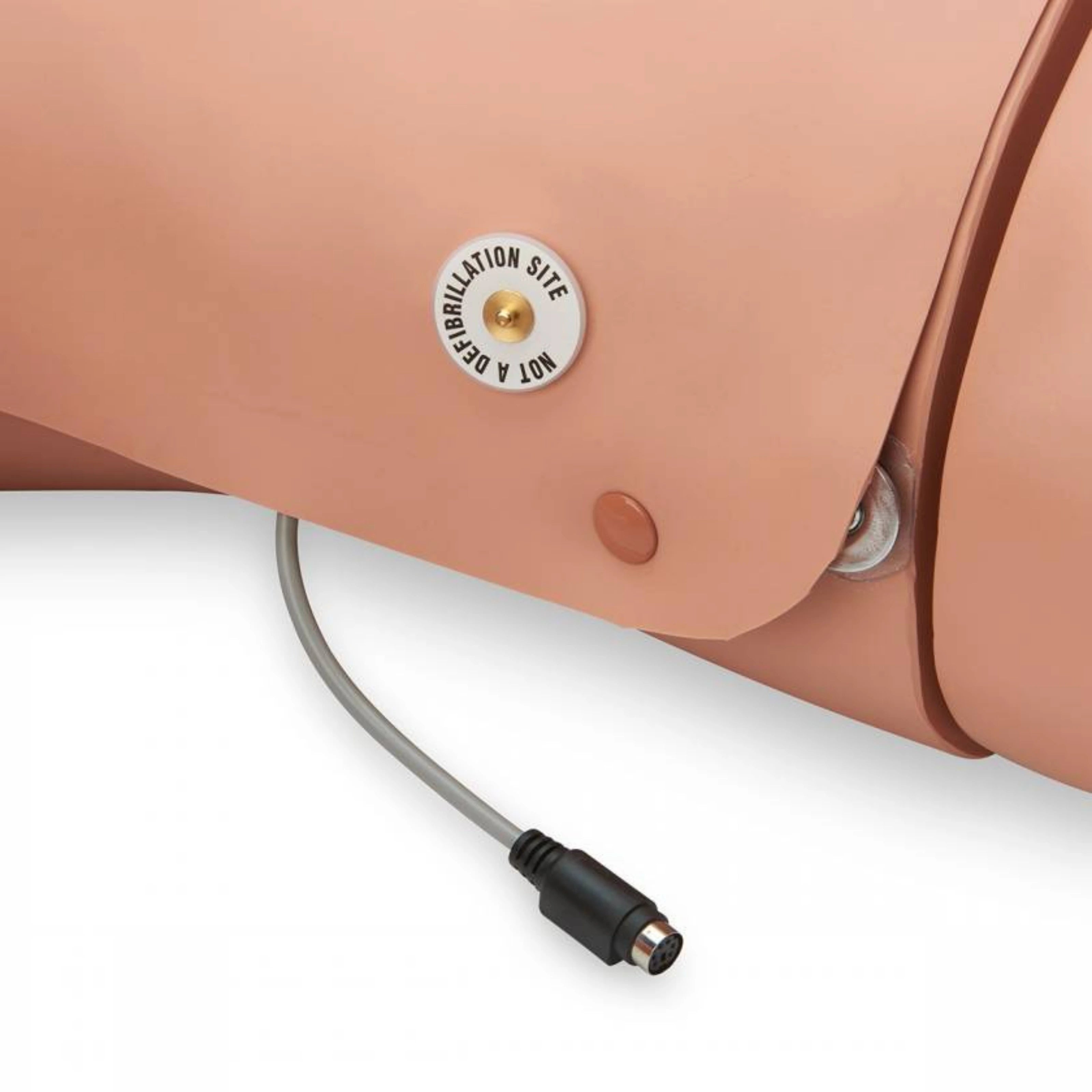 Entrenador Completo de ALS con Conjunto de Piernas