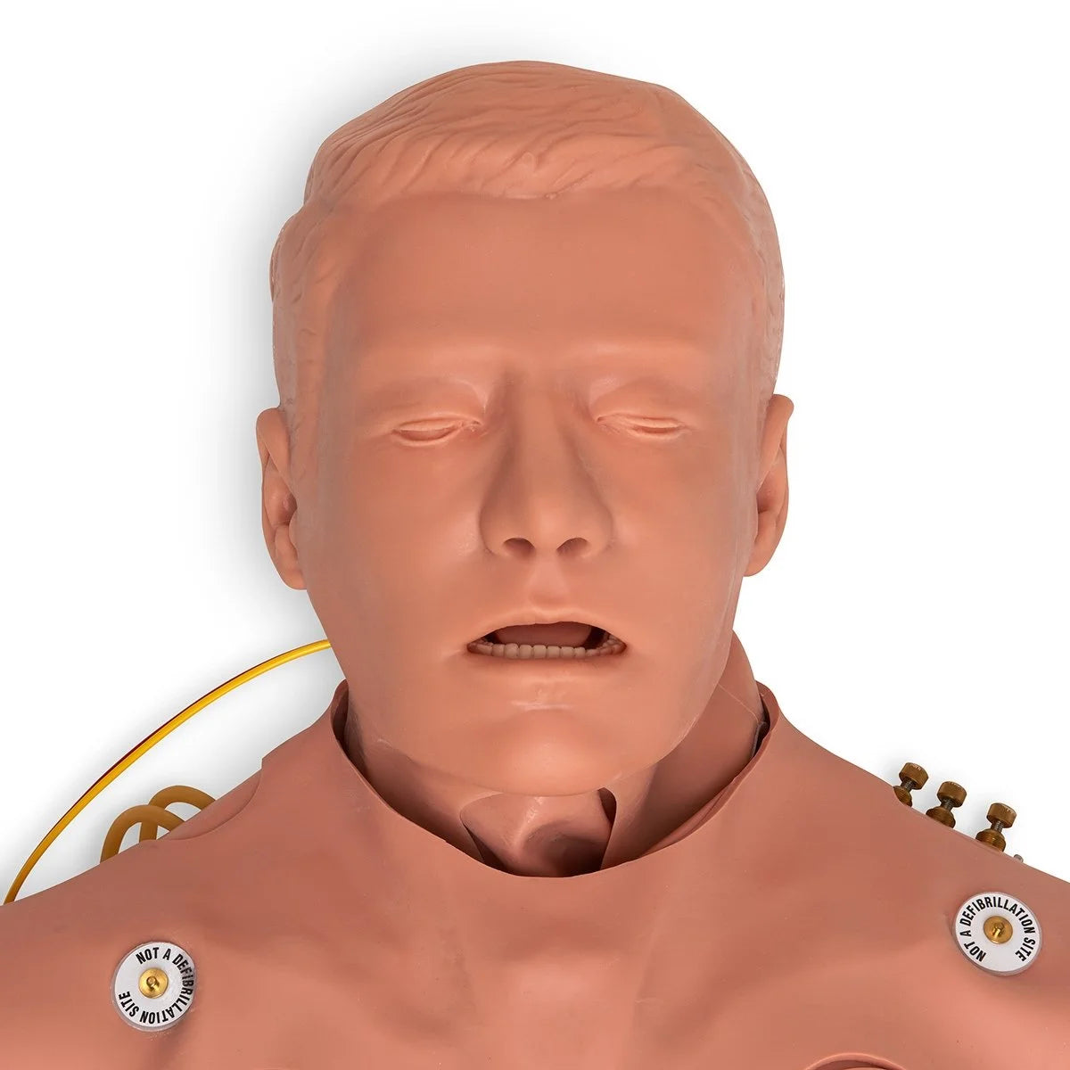 Maniquí Smart STAT con Cabeza de Manejo de Vías Respiratorias de Lujo