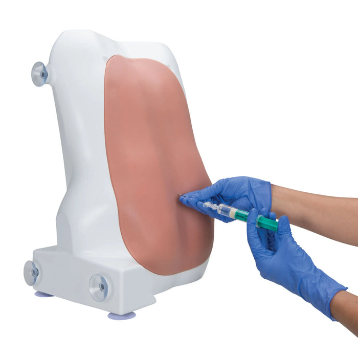 Maniquí para inyección epidural y espinal