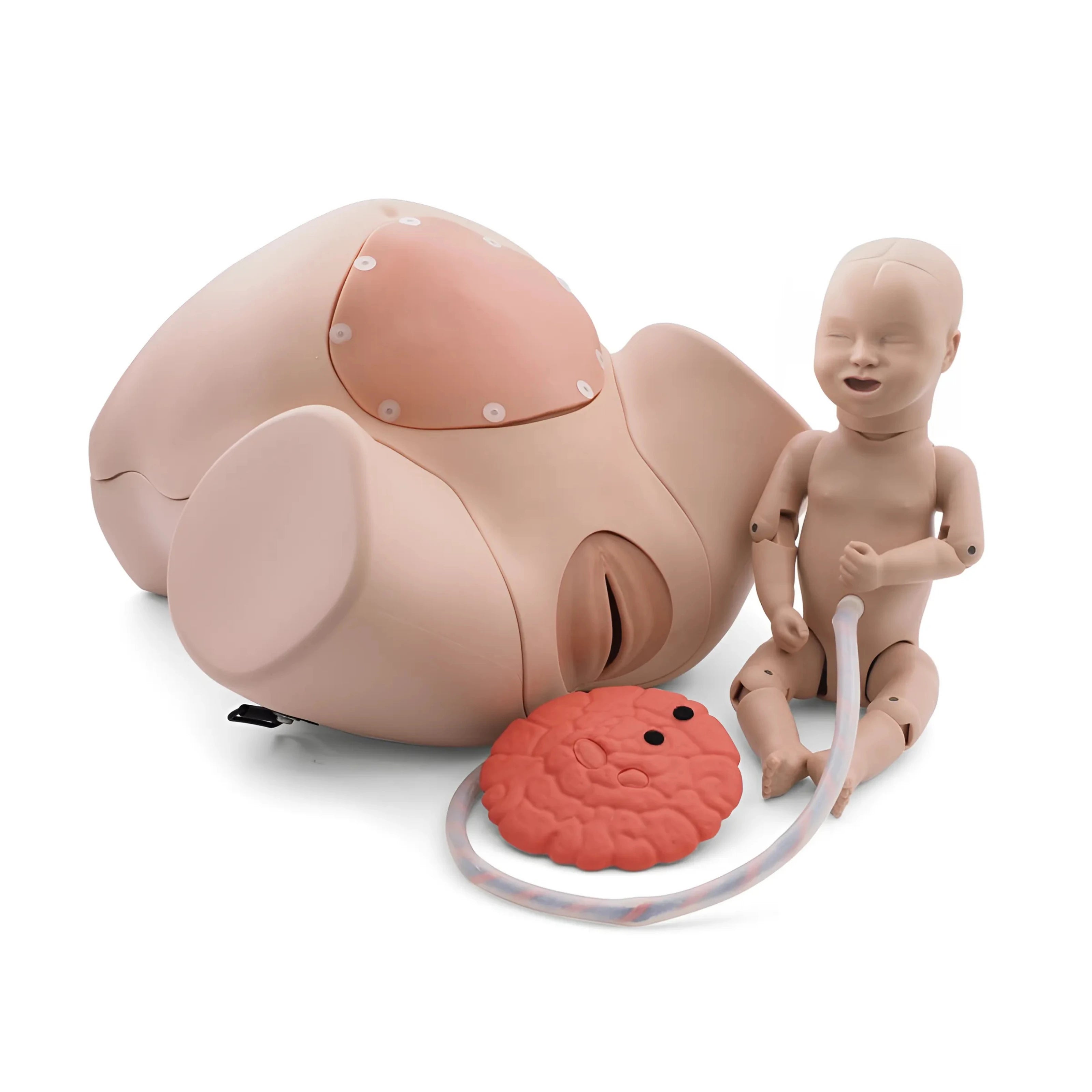 Simulador de Parto PRO P90 de 3B Scientific®