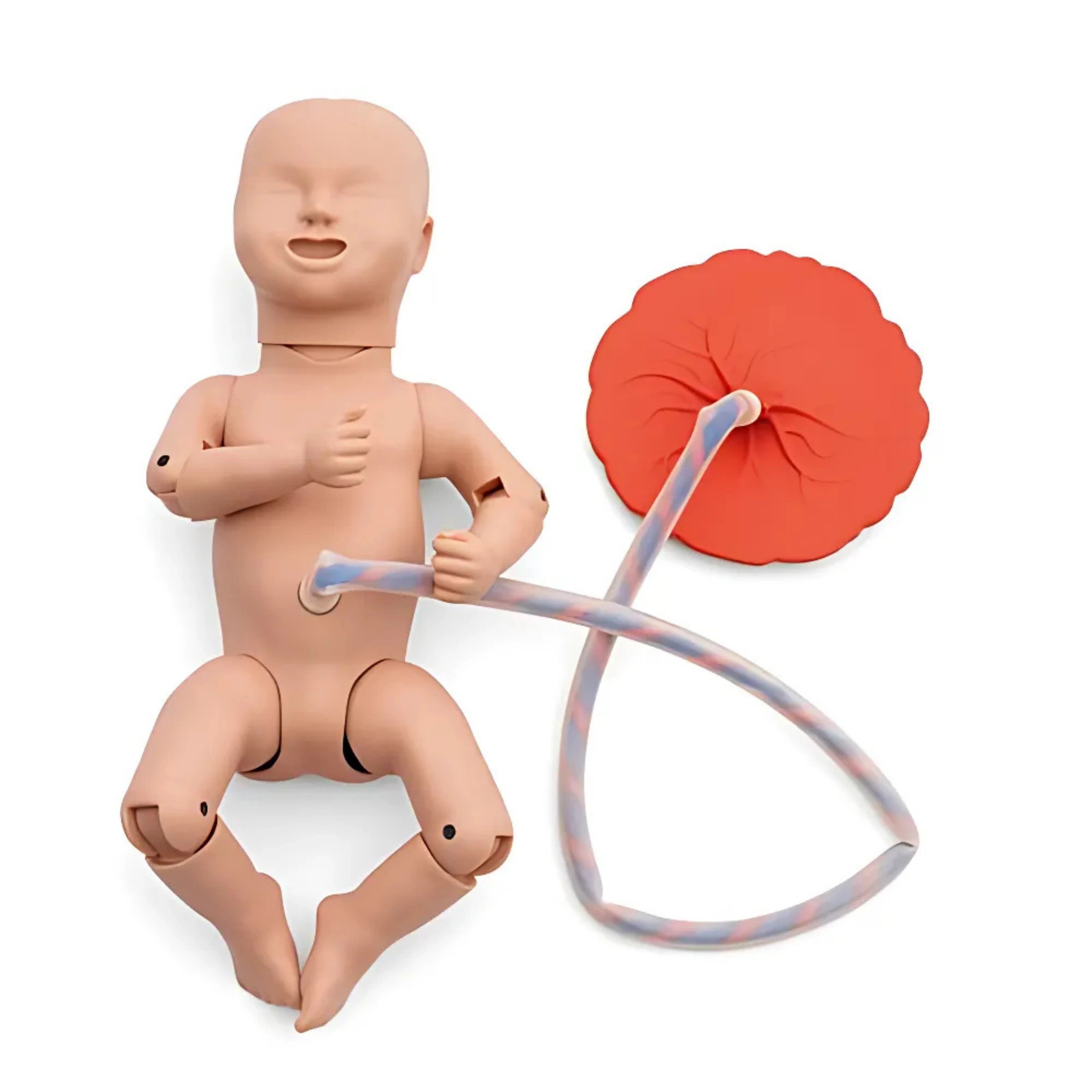 Simulador de Parto PRO P90 de 3B Scientific®