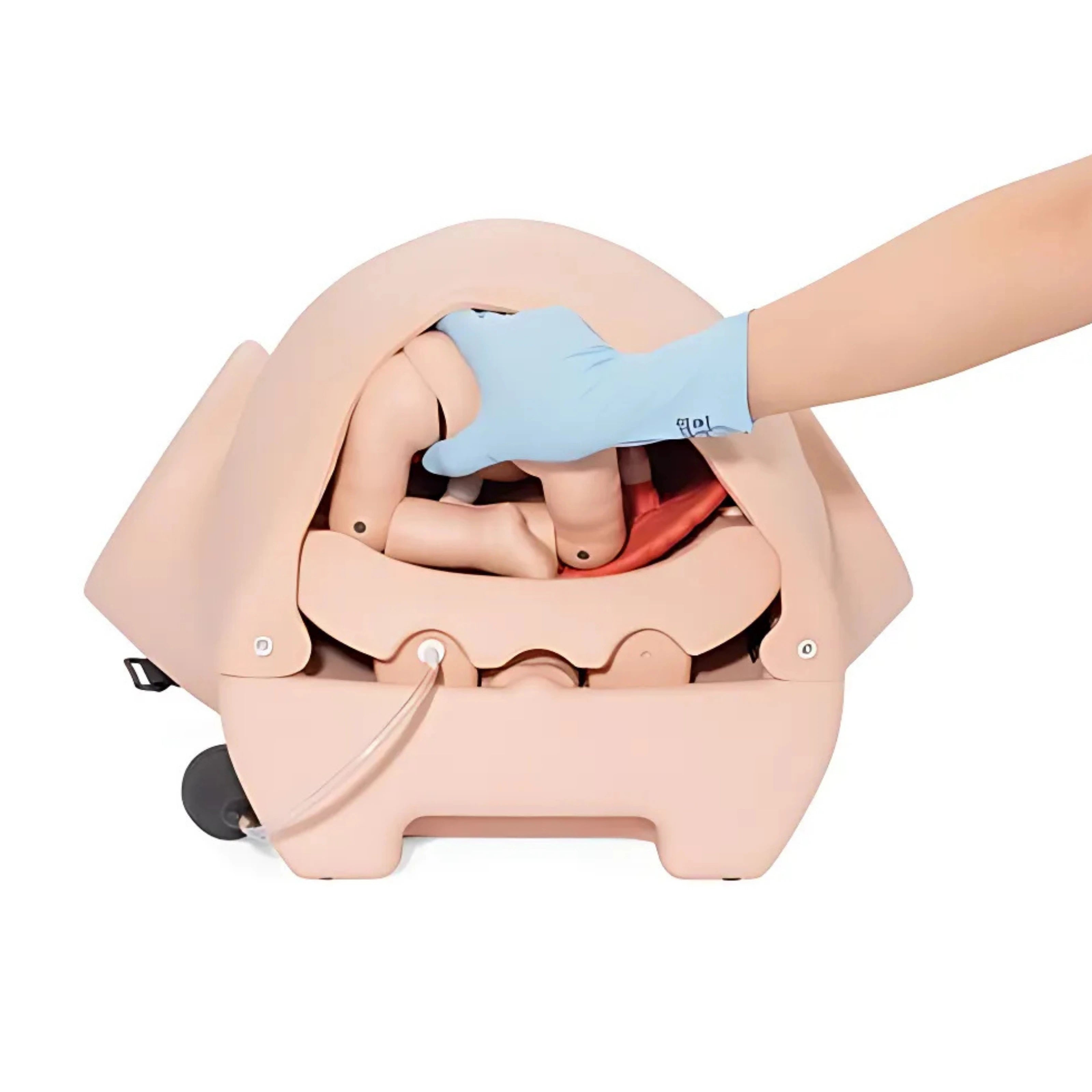 Simulador de Parto PRO P90 de 3B Scientific®