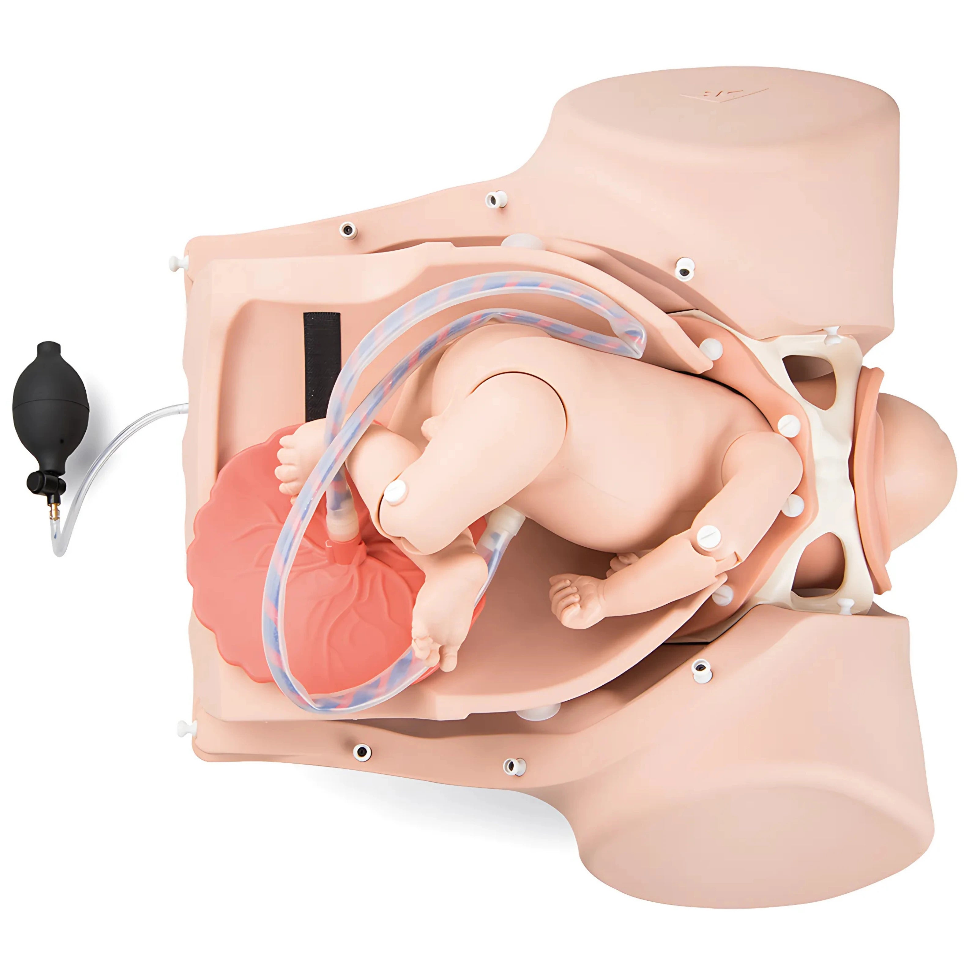 Simulador de Parto PRO P90 de 3B Scientific®