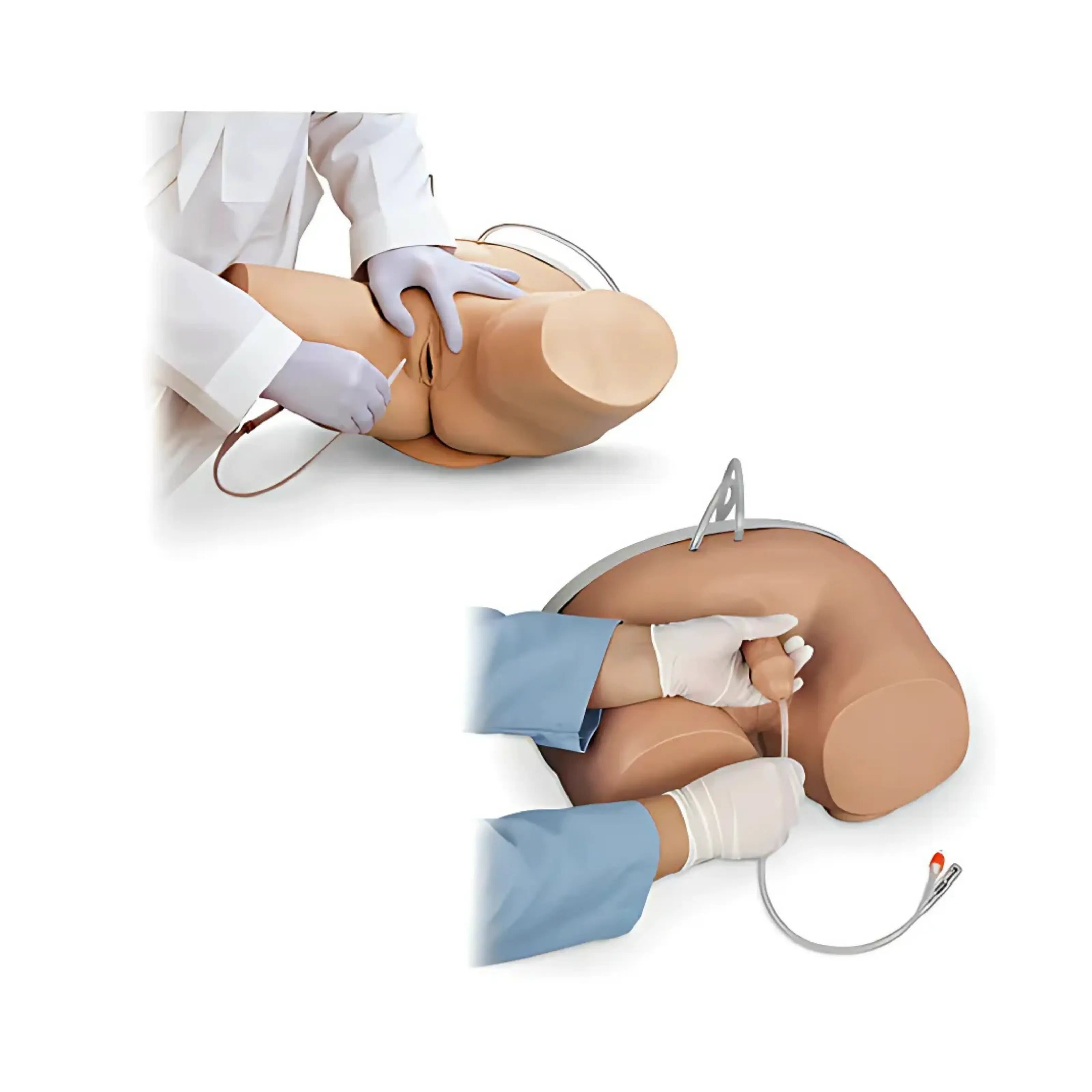 Conjunto de Simulador de Cateterismo Masculino y Femenino Life/form®