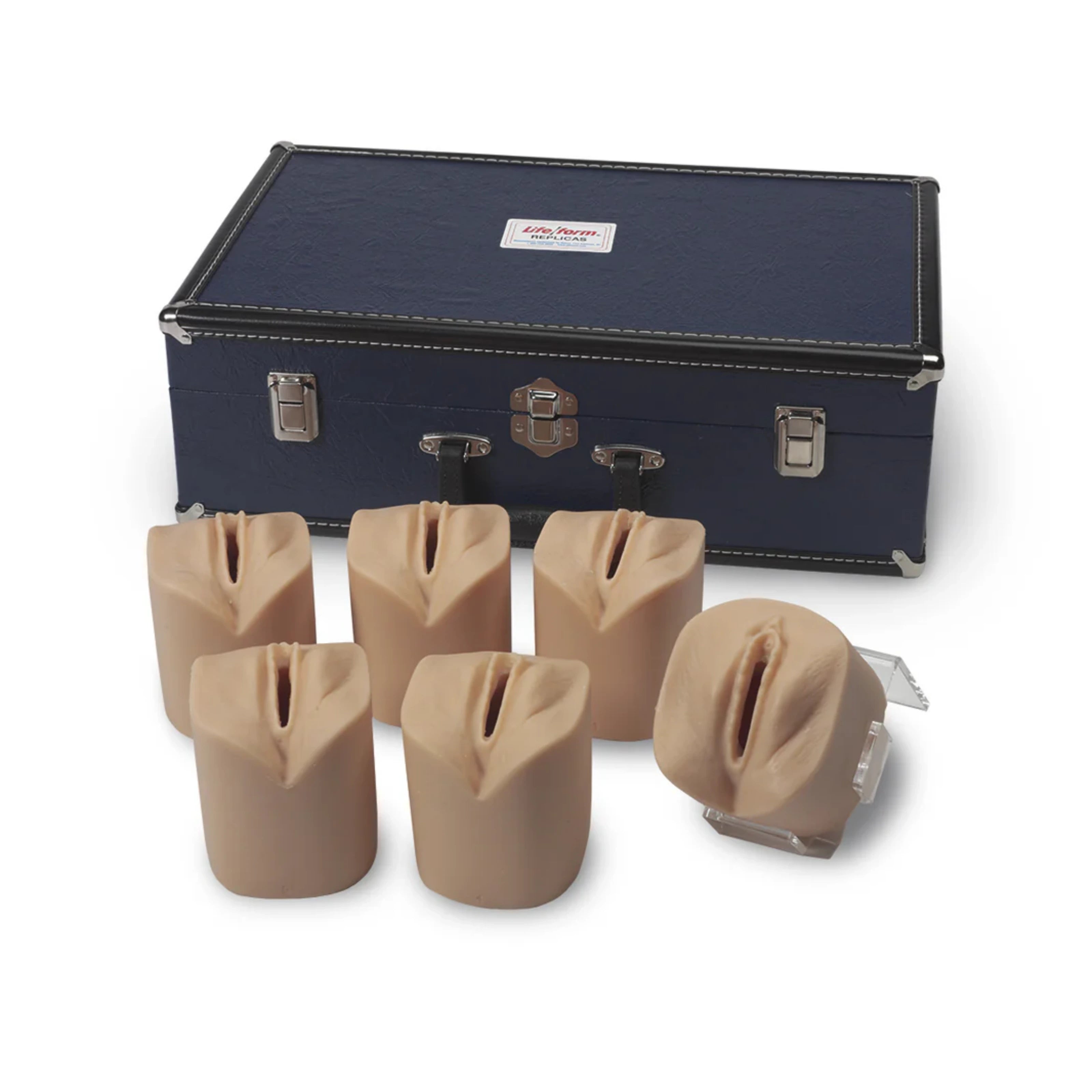 Simuladores de Dilatación y Borramiento Cervical Life/form®