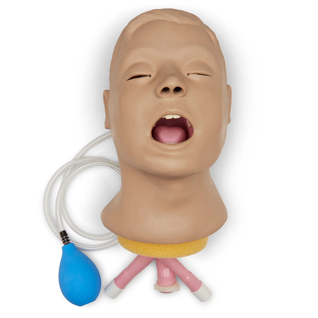 Cabeza de entrenador para el manejo de las vías respiratorias para adultos Life/form® "Airway Larry"