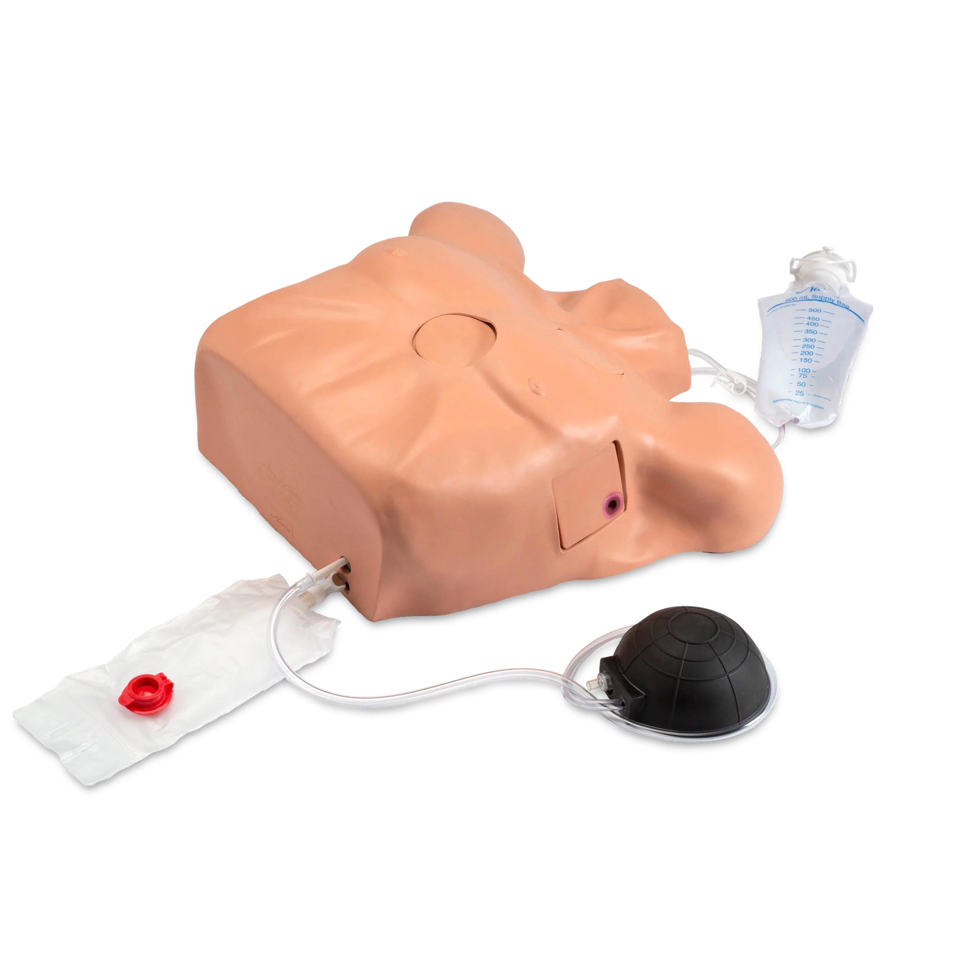 Simulador de Pericardiocentesis con Tubo Torácico y Neumotórax LF03769