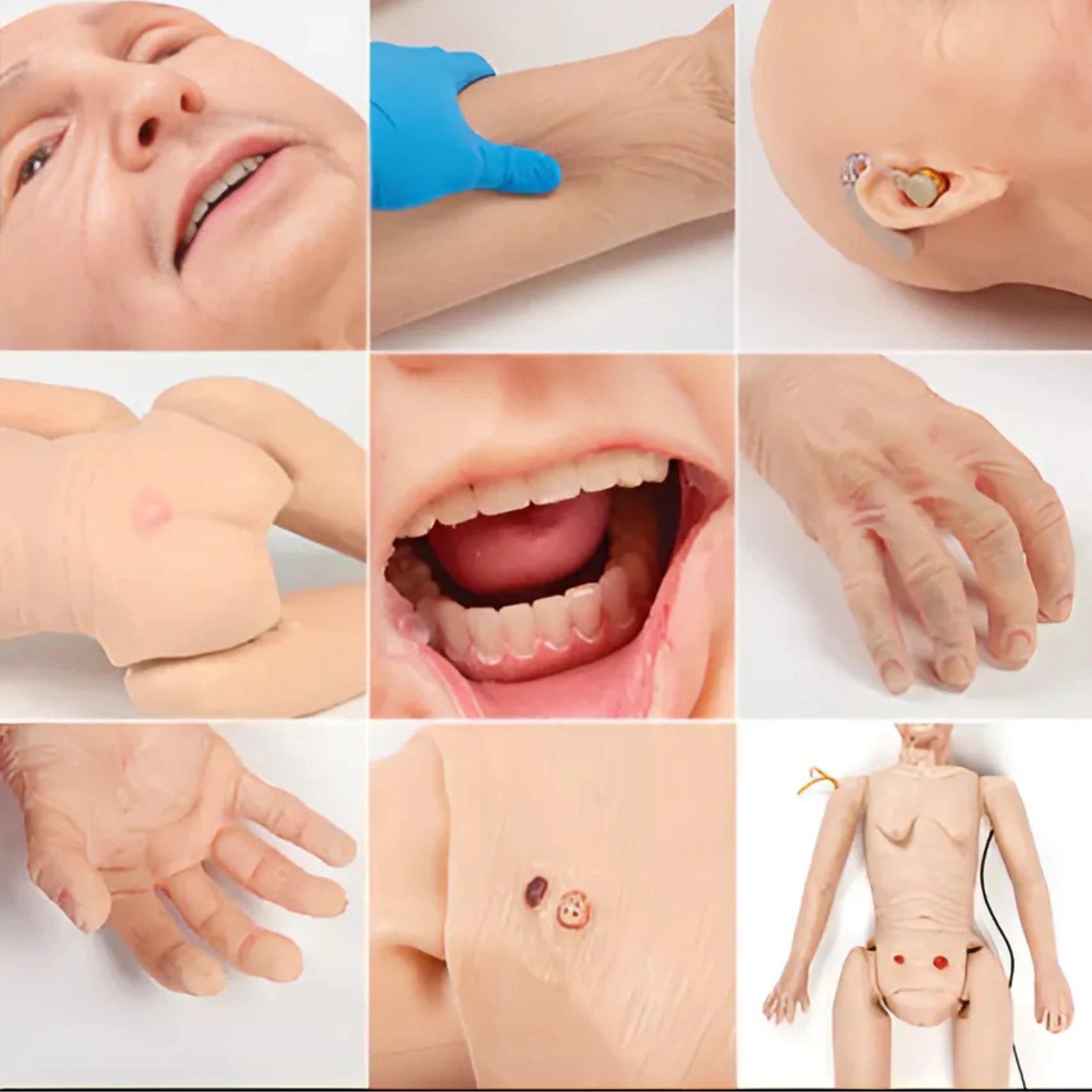 TERi™ Entrenador de Auscultación para Ancianos 