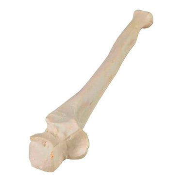 Modelo de Cúbito