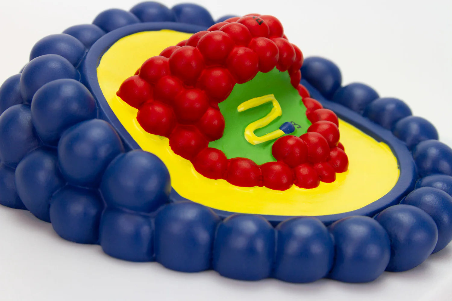 Modelo de Virus del VIH, Ampliado