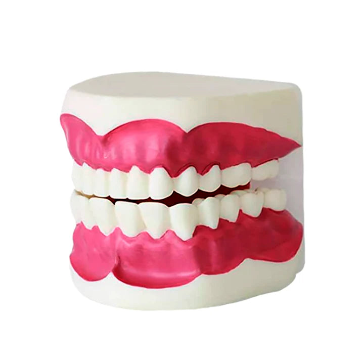 Modelo de Cuidado Dental
