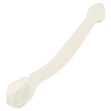 Modelo de Fíbula