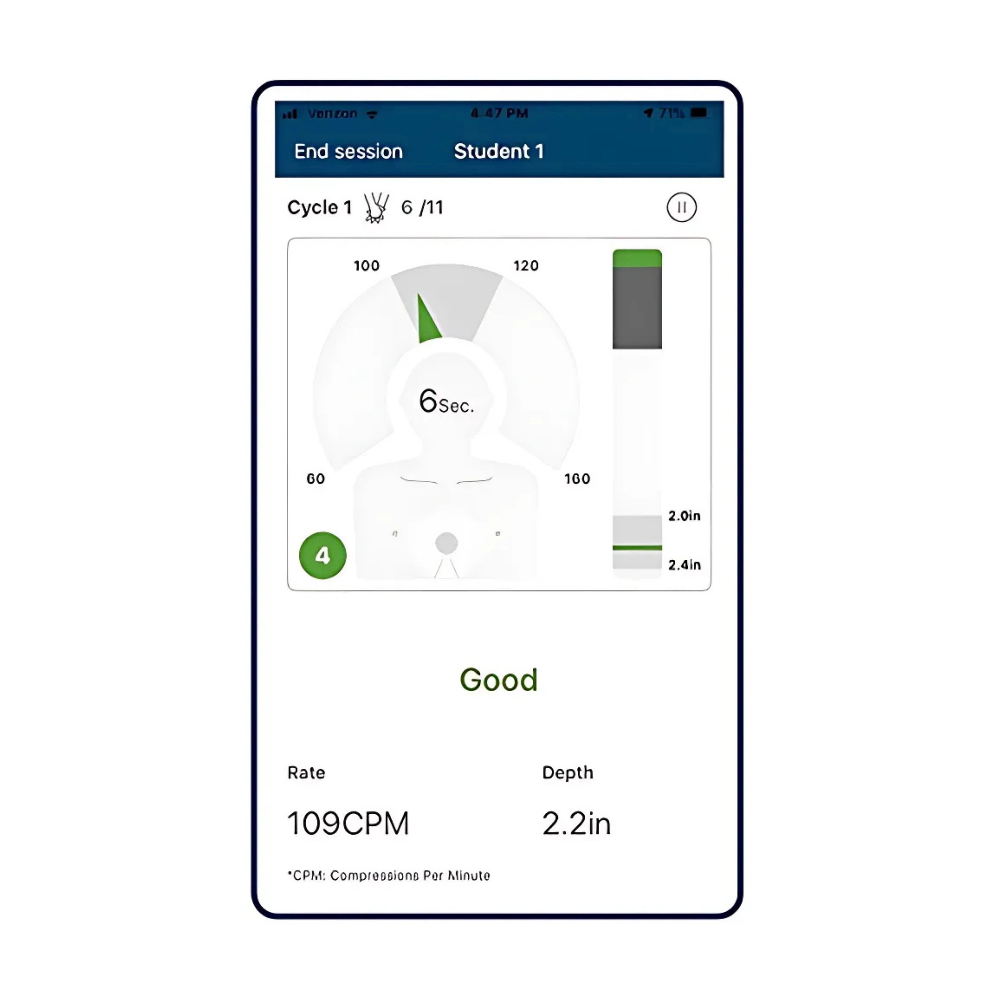 Maniquí Profesional para Adultos PRESTAN Serie 2000 - Piel Media