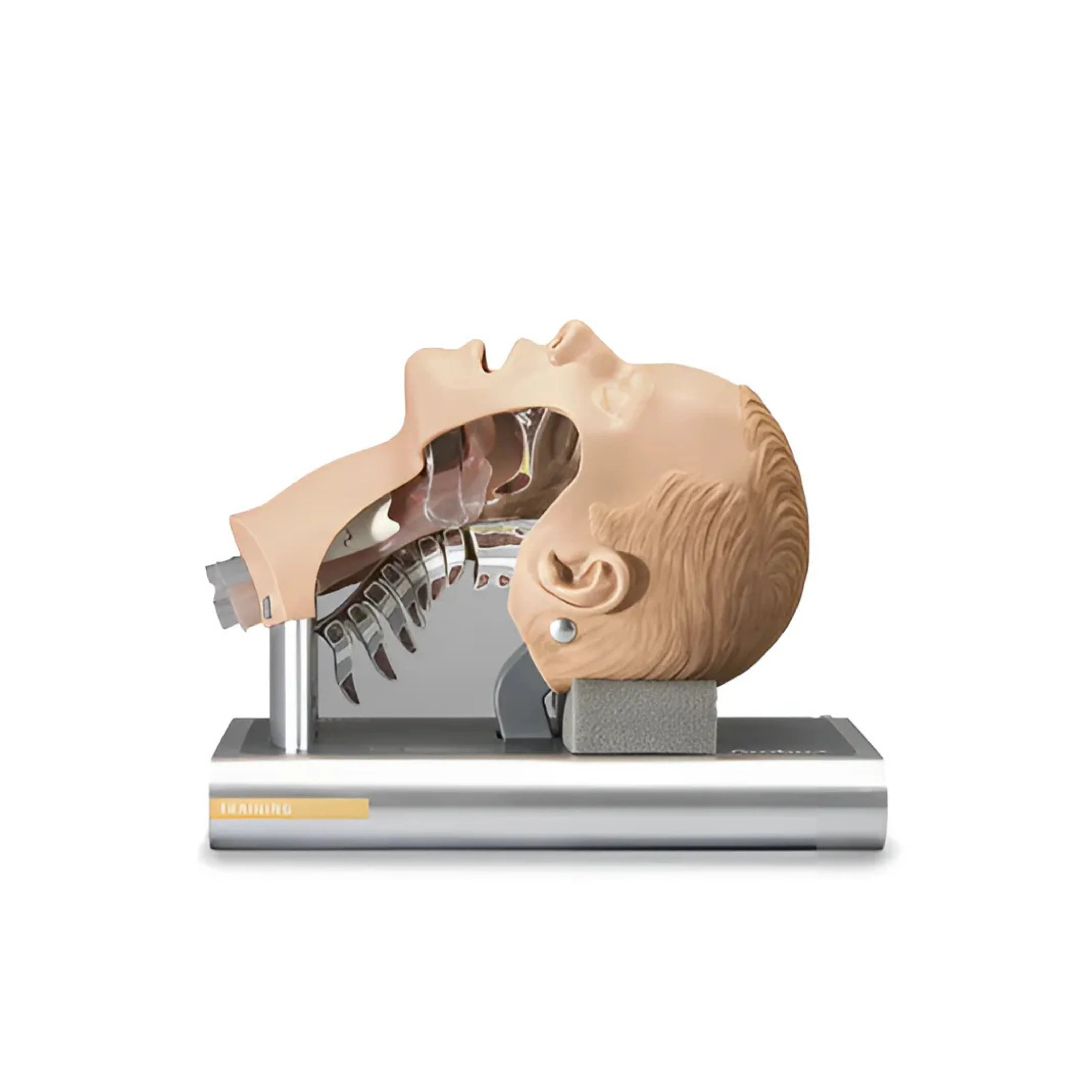 Entrenador de Intubación AMBU