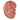 Sección Básica del Riñón - 3 Veces su Tamaño Natural - 3B Smart Anatomy