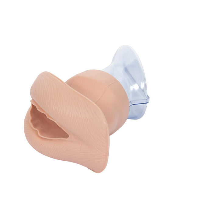 Modelo de entrenamiento para un condón para mujeres
