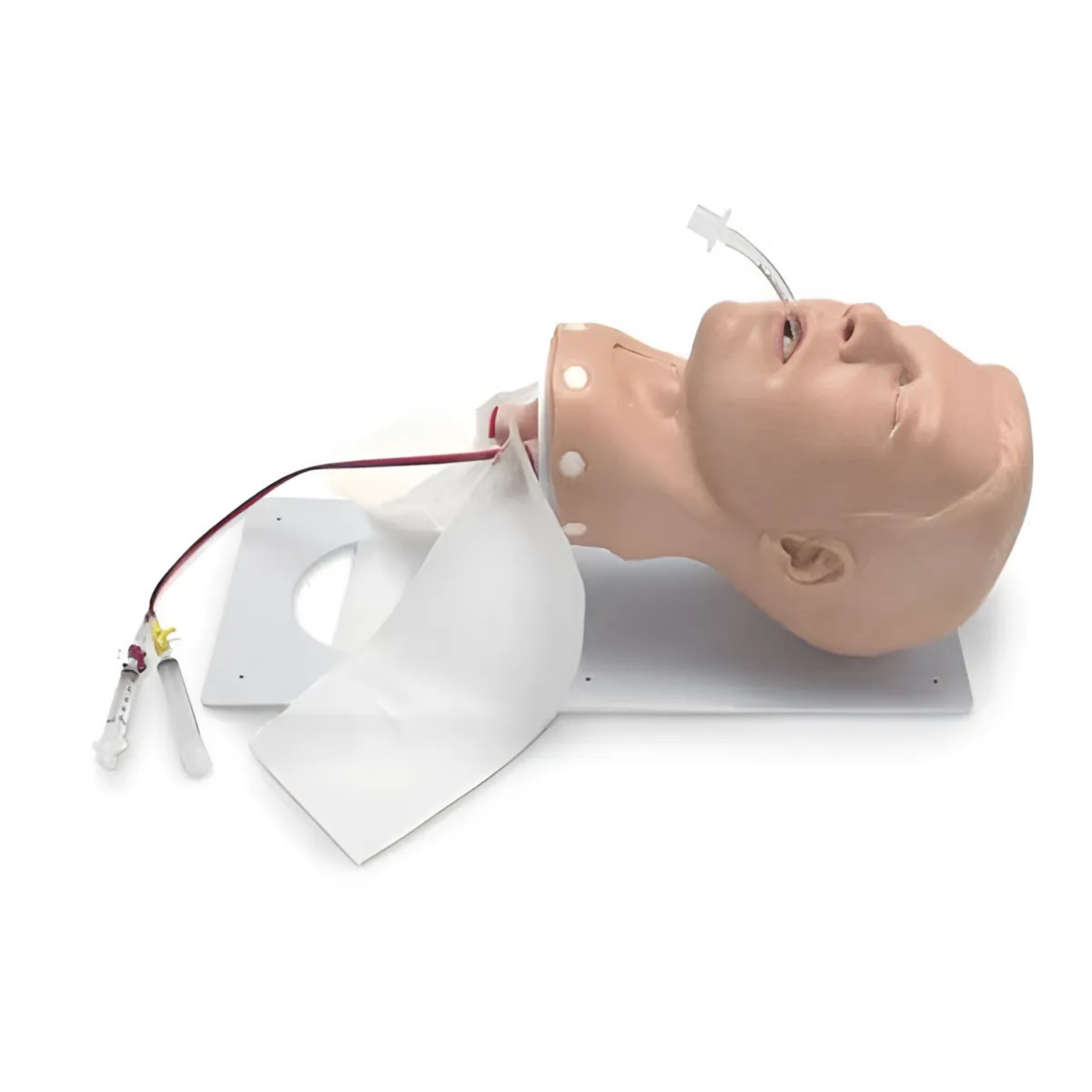Entrenador de manejo de vías respiratorias de lujo para adultos
