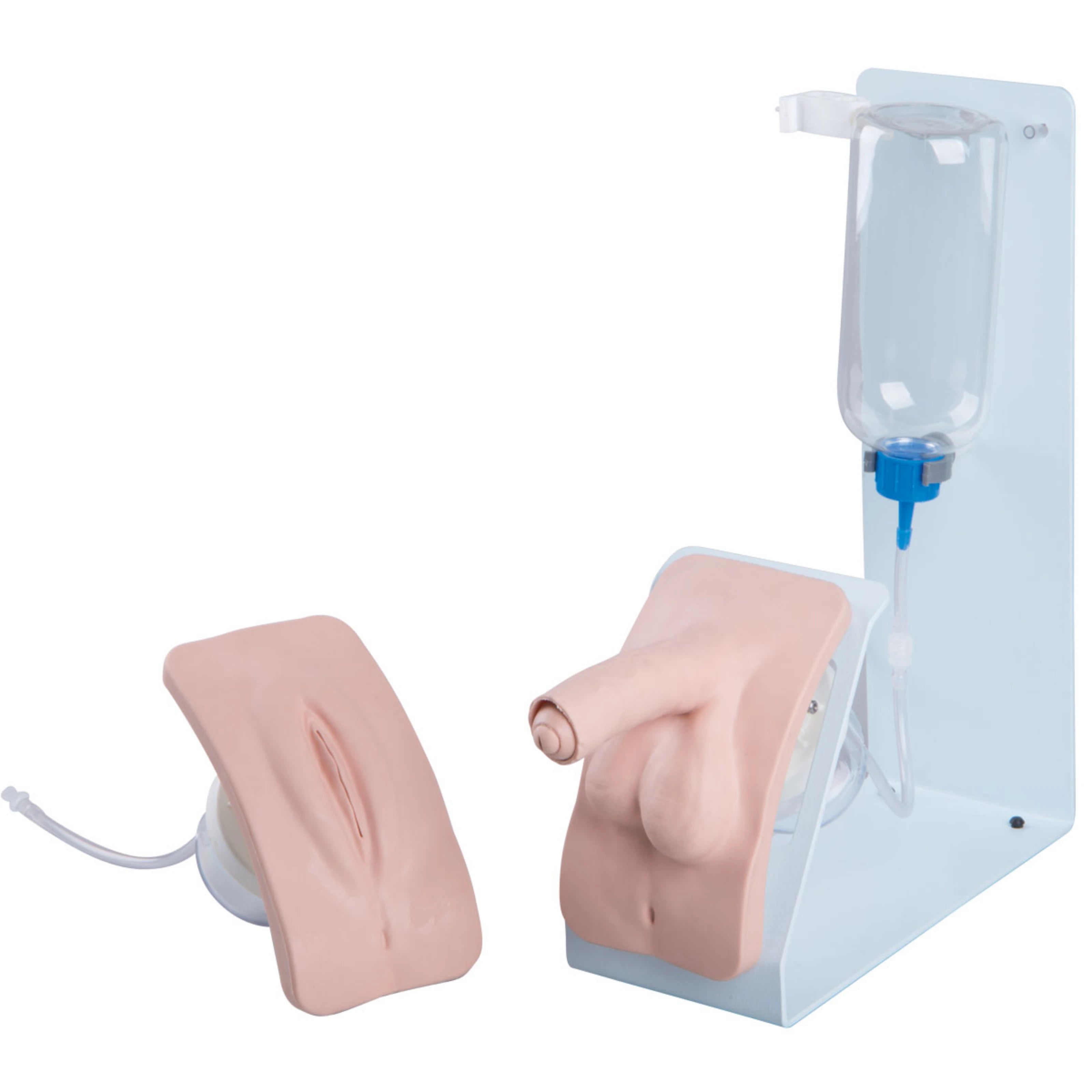 Set de Simulador de Cateterismo BASIC