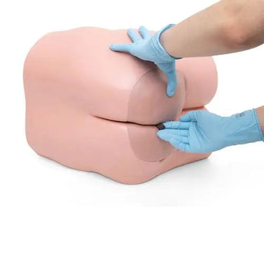 Entrenador de Cuidado Intestinal P16