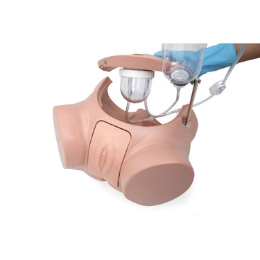 Set de Simulador de Cateterismo PRO SPC