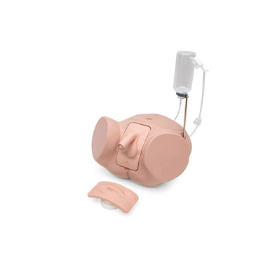 Set de Simulador de Cateterismo PRO SPC