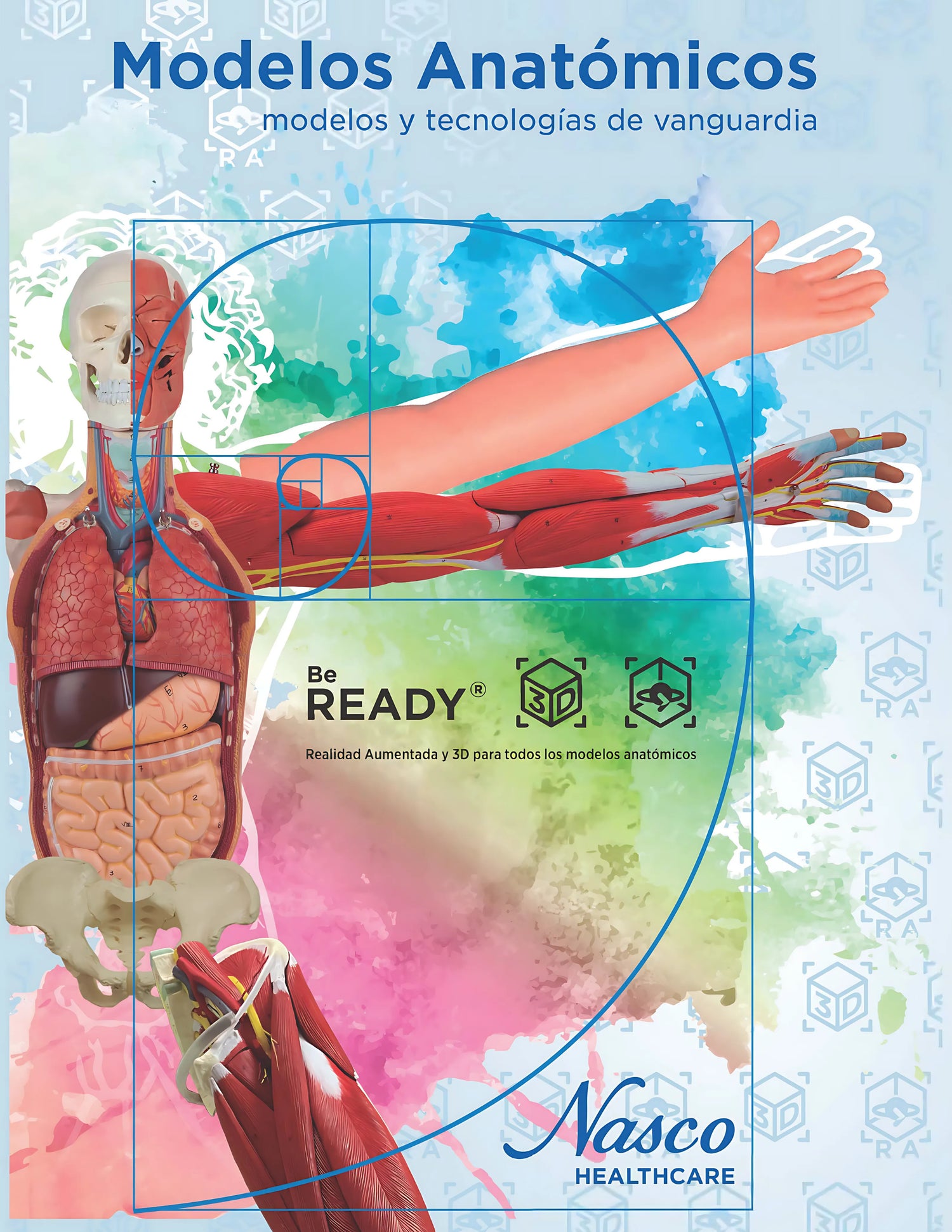 Catálogo Simuladores Médicos Modelos Anatómicos — Lina Health