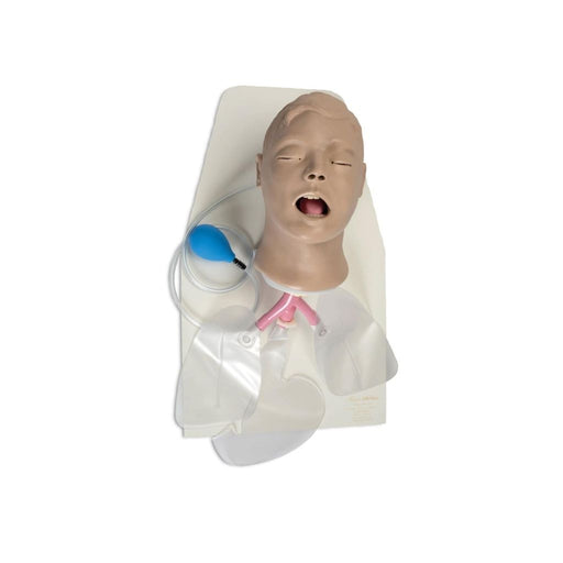 Simulador de intubación 'Airway Larry' LF03699 - Nasco