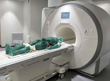Maniquí de Cuerpo Completo Adulto para Imagenología (Rayos X, TC y RM) con Músculos