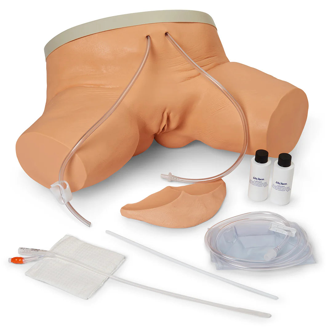 Simulador de cateterismo femenino Life/form®