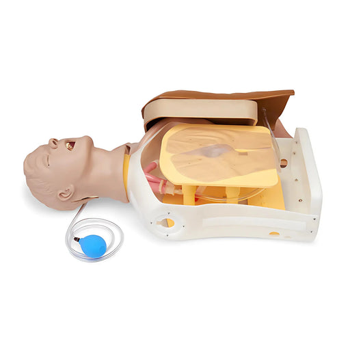 Torso para manejo de vías respiratorias "Airway Larry" - LF03686