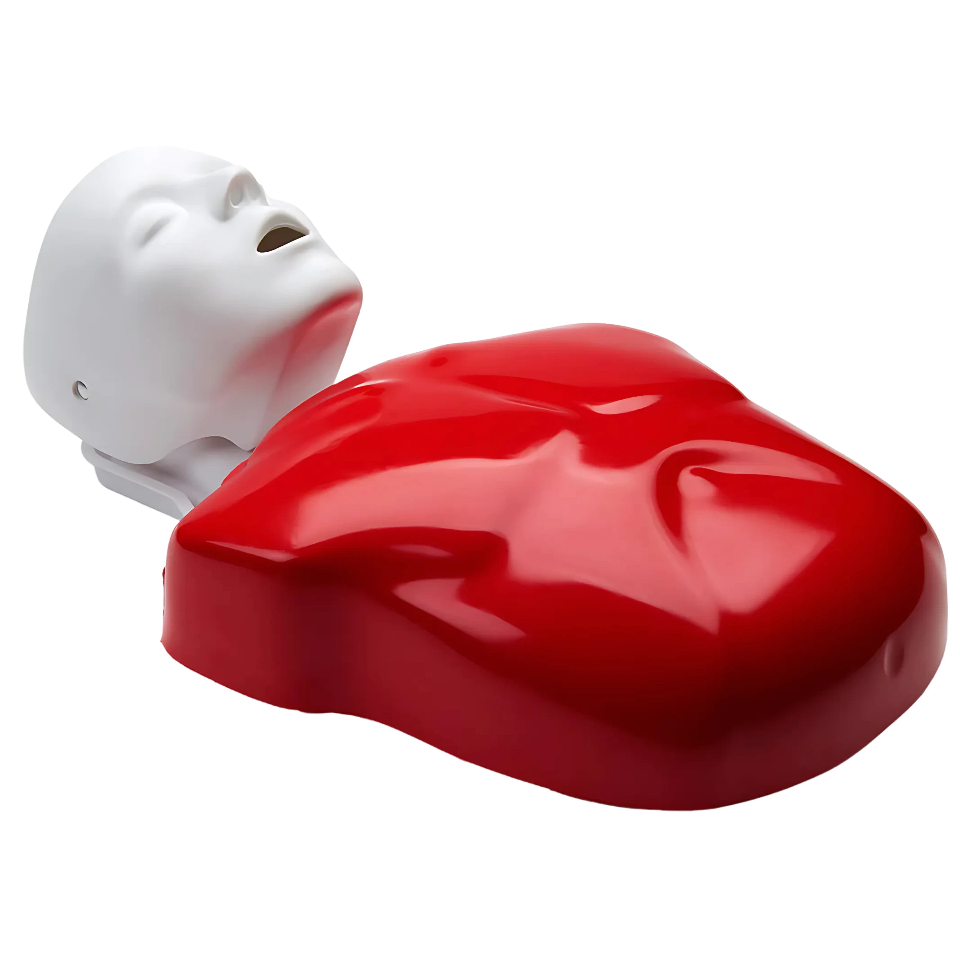 Maniquí de RCP Life/form® Basic Buddy® 
