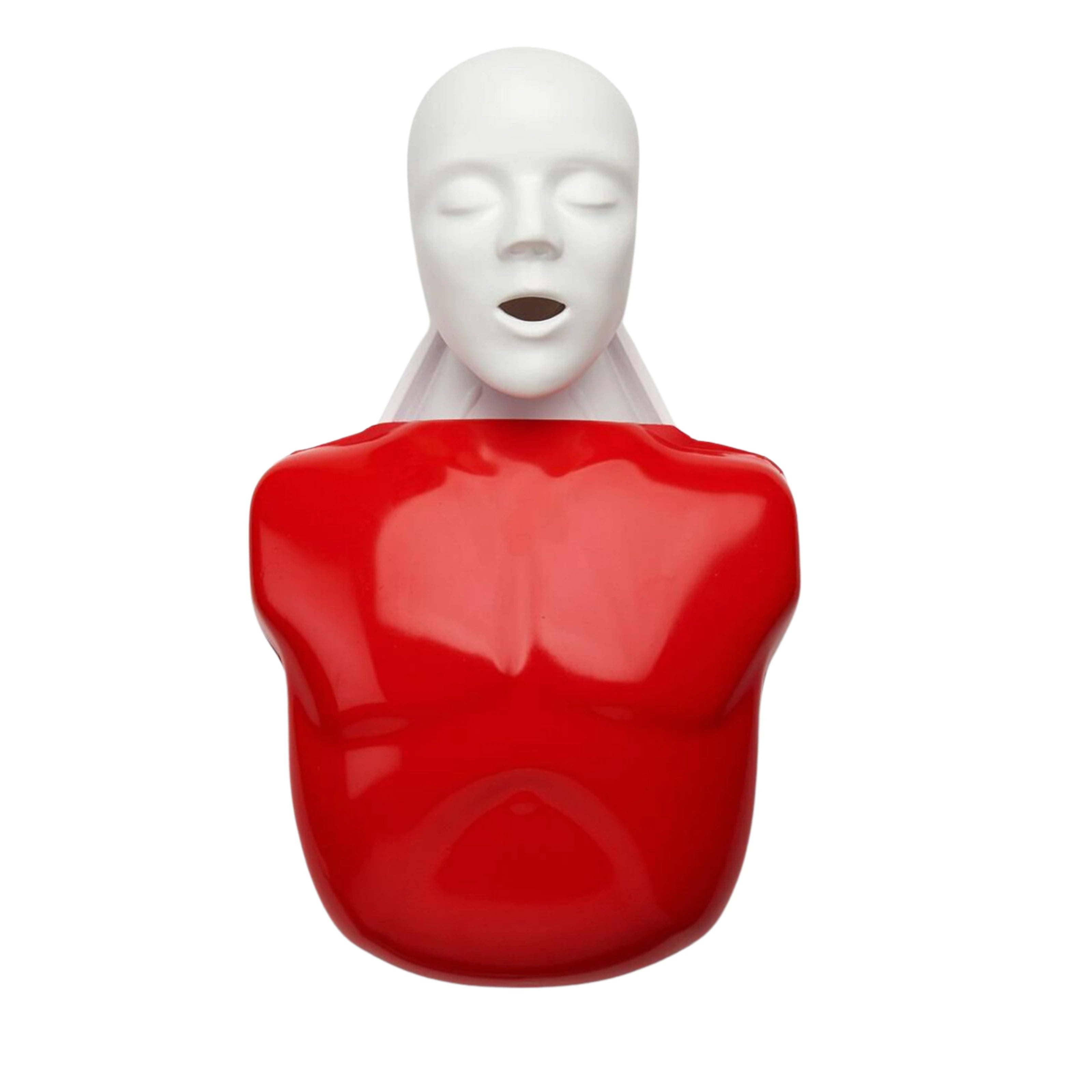 Maniquí de RCP individual Basic Buddy®