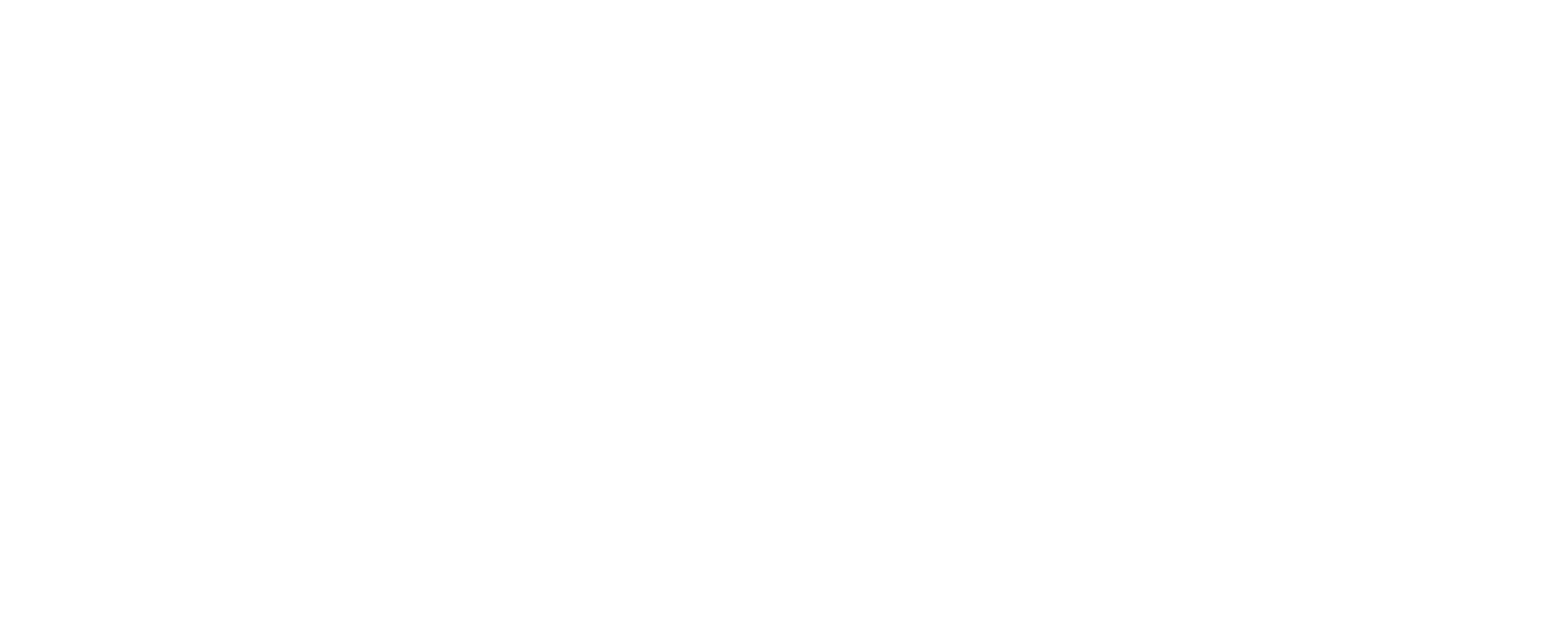 Lina Health