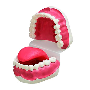 Modelo de Cuidado Dental