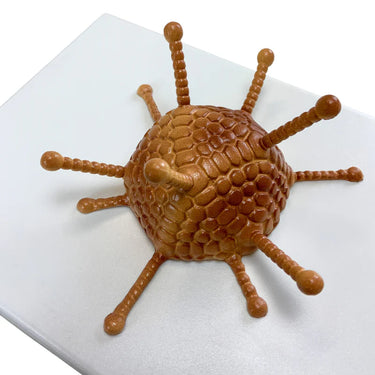 Modelo de Adenovirus