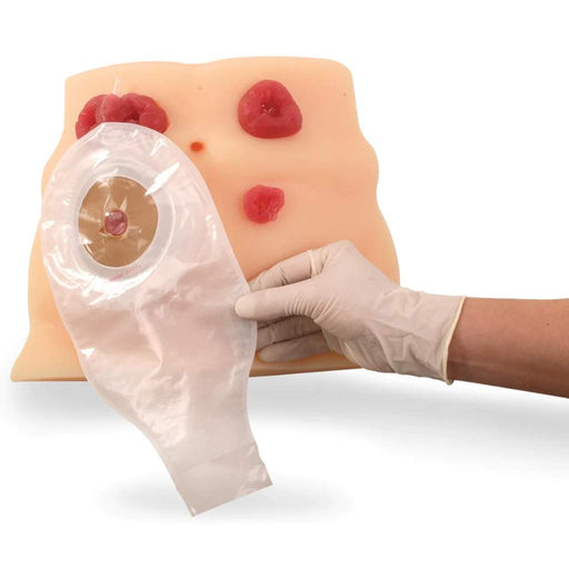 Modelo de cuidado de ostomía SB23501