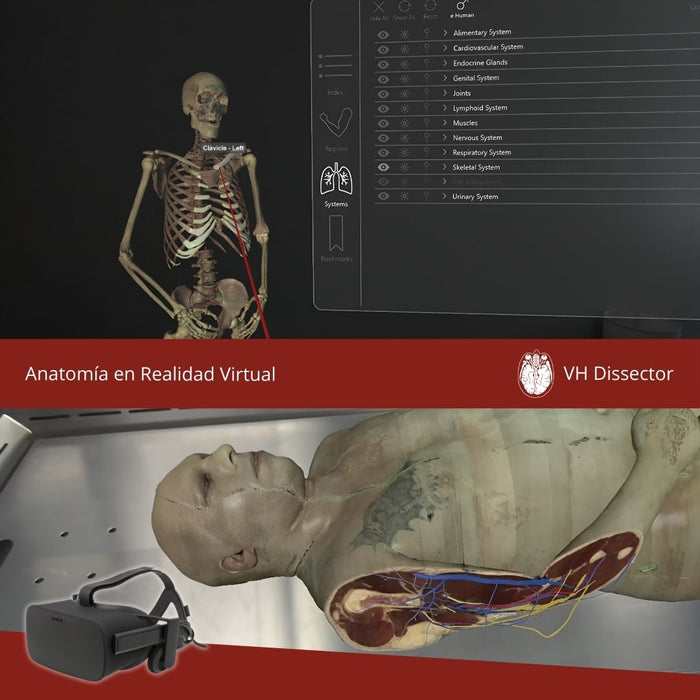 VH Dissector VR, AR y XR