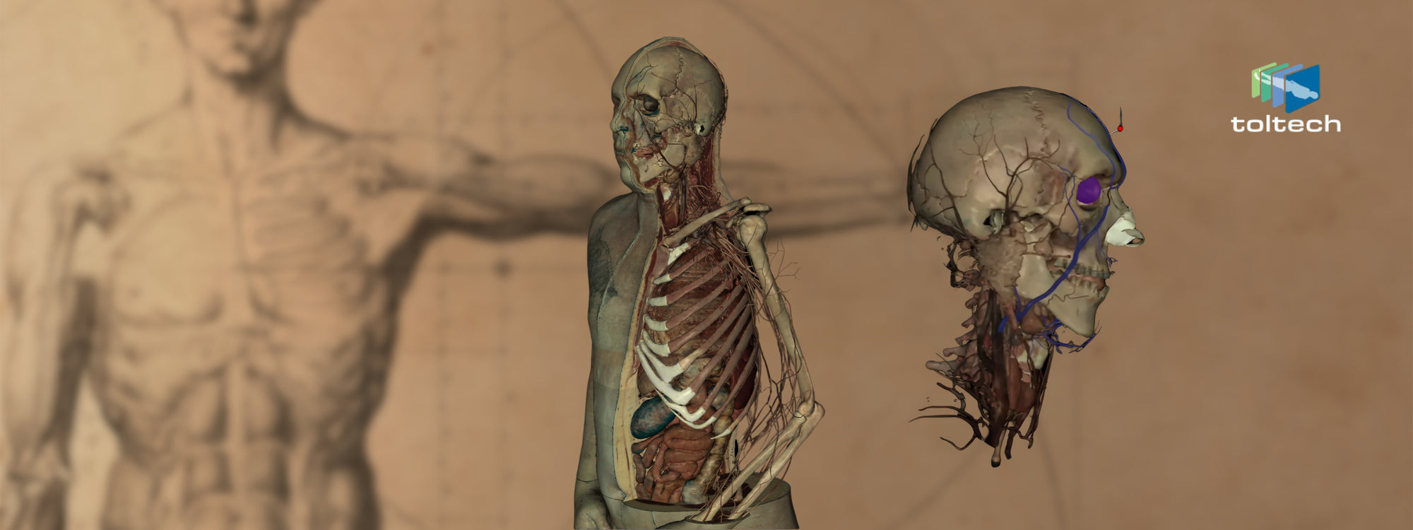 Simuladores Medicos, Modelos Anatómicos y Plataformas — Lina Health
