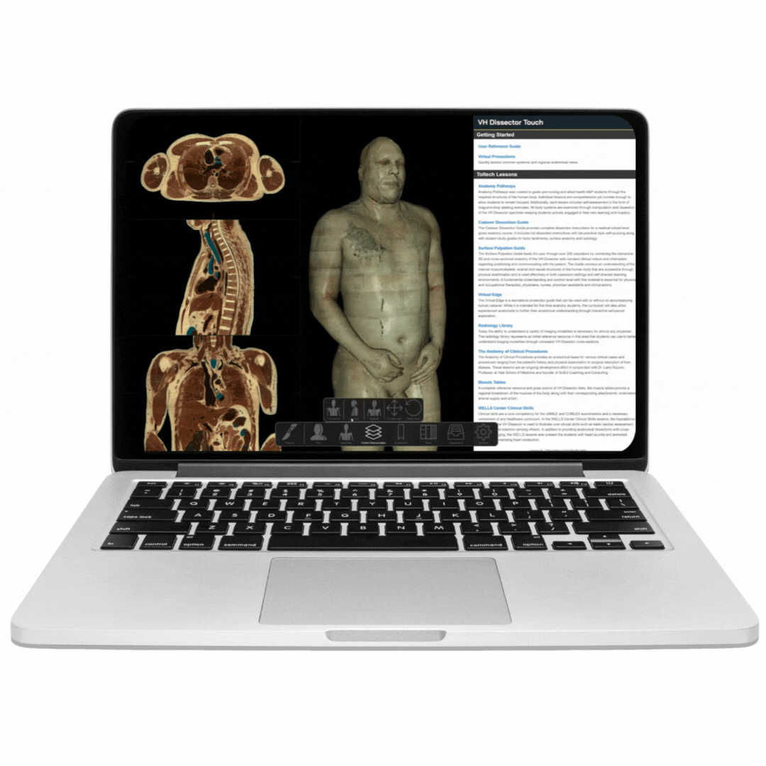 Licencia Semestral | VH Dissector PRO Student