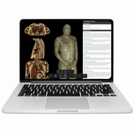 VH Dissector Pro Student (Licencia Semestral)