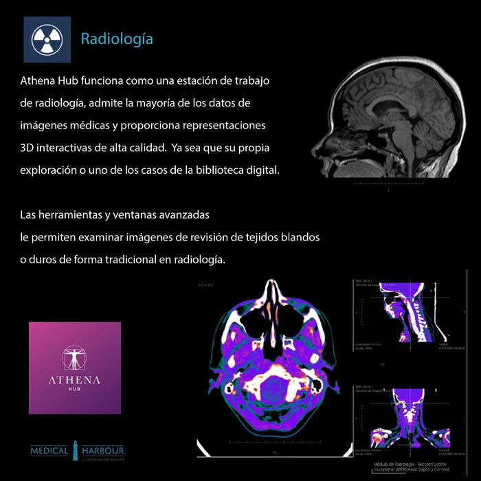 Mesa de Anatomía - Radiología